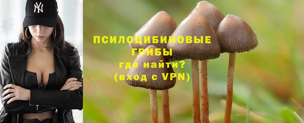 2c-b Горнозаводск