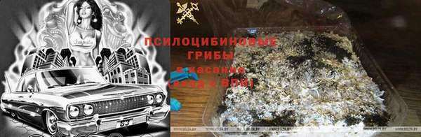 скорость Горняк
