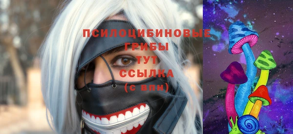 мяу мяу мука Горно-Алтайск