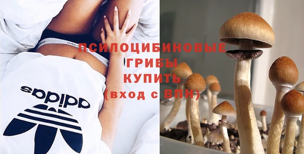 мяу мяу мука Горно-Алтайск